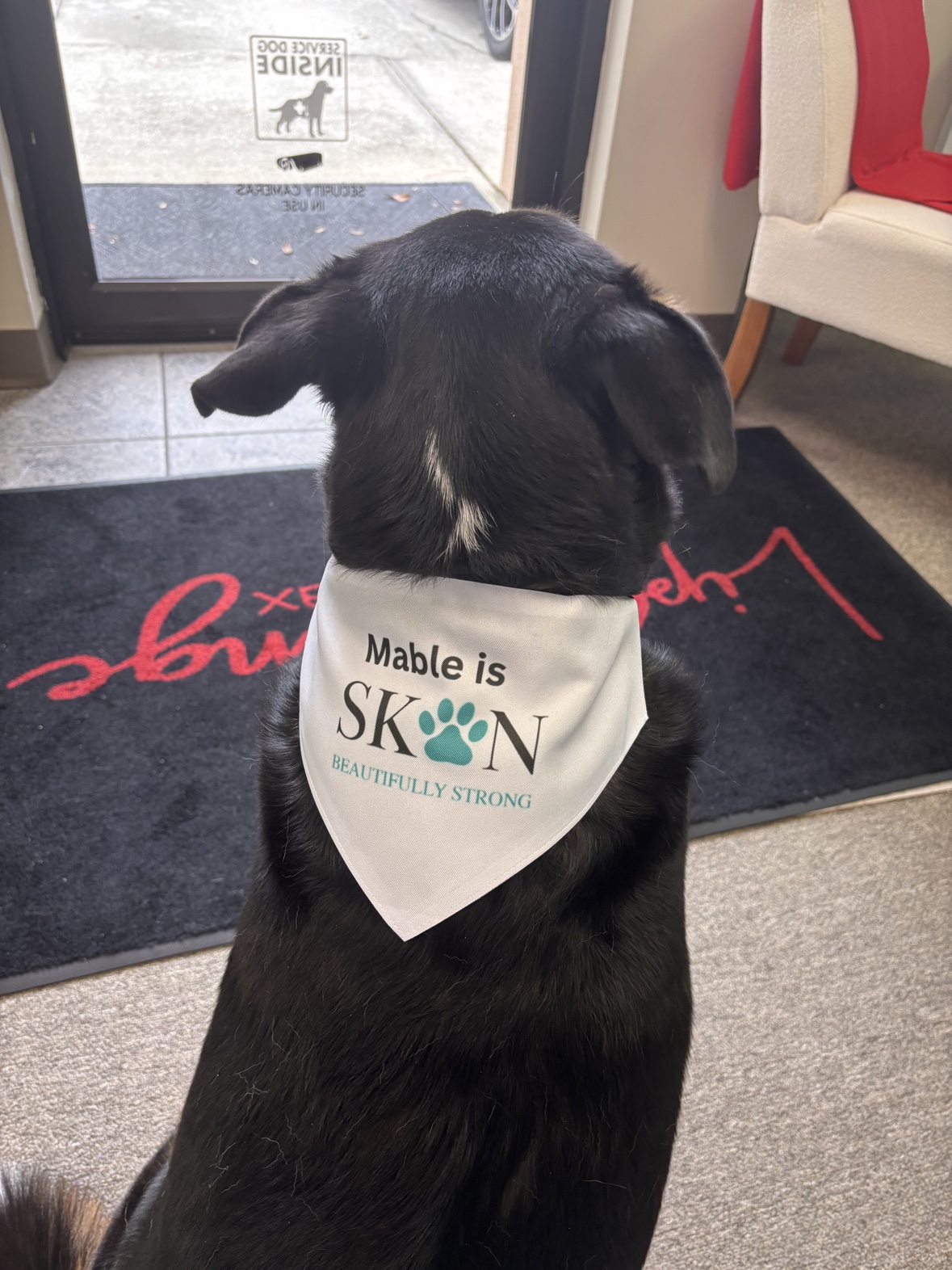 Mabel wearing her Skön neckerchief